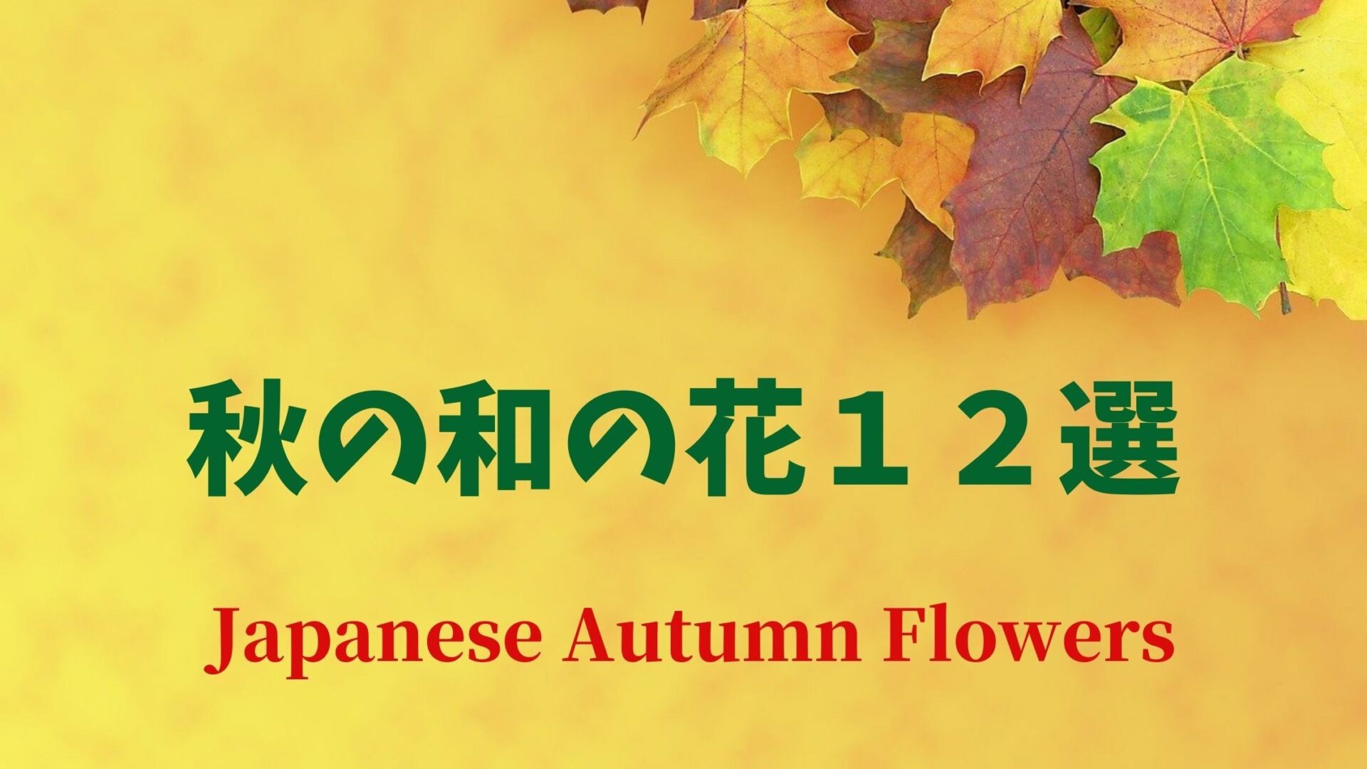 秋を彩る和の花１２選 花言葉は お彼岸にもおすすめの日本の花 いっぽの種blog